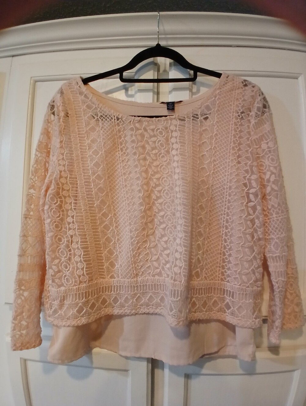 American Eagle Outfitters Sheer Lace Crocheted Long Sleeve Top W/Cami SP
